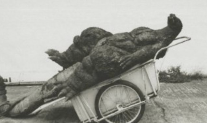godzilla had a stroke