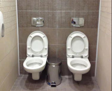 twin toilet